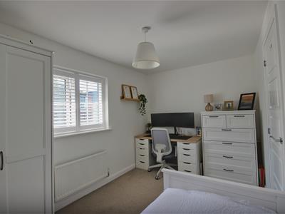 Picture 14